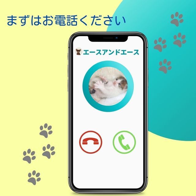 商品紹介 有限会社エースアンドエース(東京)